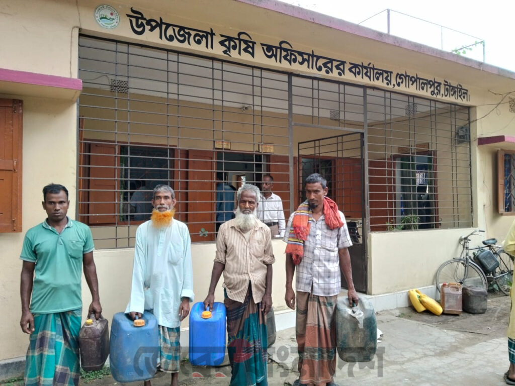 গোপালপুরে বিদ্যুৎ ও ডিজেল সংকটে বোরো ফসল বিনষ্ট 