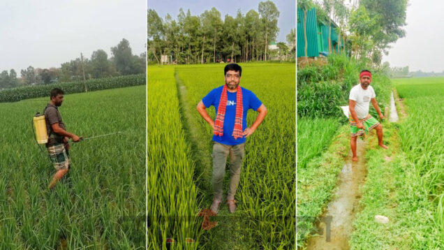 টাঙ্গাইলের সেই কবির হোসেন প্রকৃত কৃষক, এআই ছবি ও গুজব ছড়িয়ে বিভ্রান্তি
