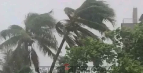 সারাদেশে হতে পারে বজ্রবৃষ্টি