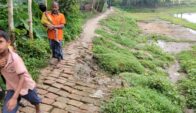 গোপালপুরে কাবিটার রাস্তার ইট তুলে বাড়িতে বাথরুম নির্মাণের অভিযোগ ইউপি সদস্য দম্পতির বিরুদ্ধে