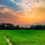 ভূমিসেবায় ডিজিটাল রূপান্তরের বার্তা নিয়ে শুরু হচ্ছে মেলা