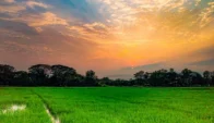 ভূমিসেবায় ডিজিটাল রূপান্তরের বার্তা নিয়ে শুরু হচ্ছে মেলা