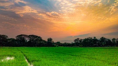 ভূমিসেবায় ডিজিটাল রূপান্তরের বার্তা নিয়ে শুরু হচ্ছে মেলা