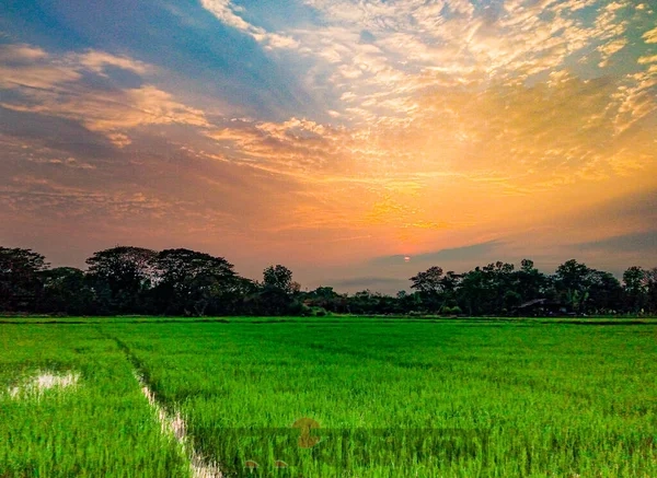 ভূমিসেবায় ডিজিটাল রূপান্তরের বার্তা নিয়ে শুরু হচ্ছে মেলা