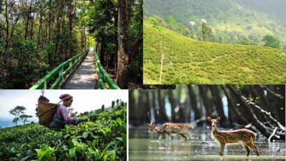 ইকো ট্যুরিজমের অপার সম্ভাবনা  টেকসই পর্যটনের নতুন দিগন্ত