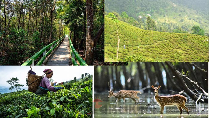 ইকো ট্যুরিজমের অপার সম্ভাবনা  টেকসই পর্যটনের নতুন দিগন্ত