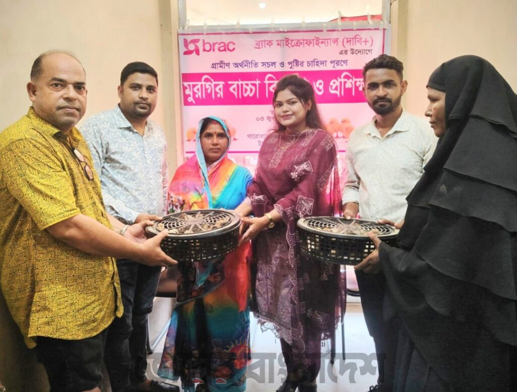 ব্র্যাক মাইক্রোফাইন্যান্স (দাবি+) কর্তৃক মুরগির বাচ্চা বিতরণ ও প্রশিক্ষণ সম্পন্ন
