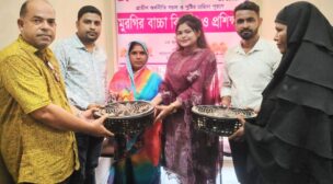 ব্র্যাক মাইক্রোফাইন্যান্স (দাবি+) কর্তৃক মুরগির বাচ্চা বিতরণ ও প্রশিক্ষণ সম্পন্ন