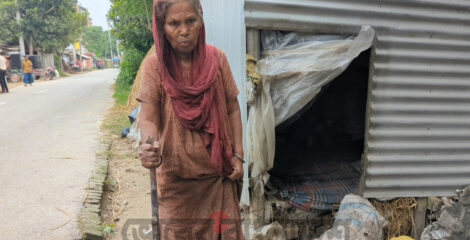 গোপালপুরে রাস্তার পাশে অন্ধকার টিনের ঘরে বৃদ্ধা আনোয়ারার মানবেতর জীবন
