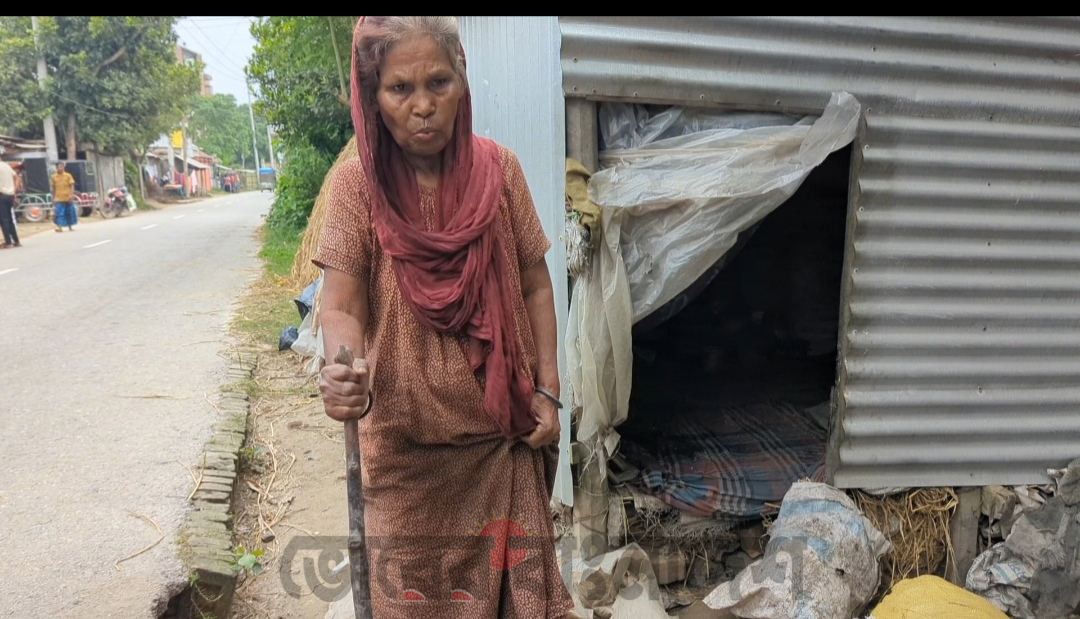 গোপালপুরে রাস্তার পাশে অন্ধকার টিনের ঘরে বৃদ্ধা আনোয়ারার মানবেতর জীবন