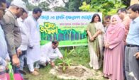 টাঙ্গাইলে বৃক্ষরোপণ কর্মসূচির উদ্বোধন