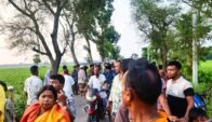 সড়ক দুর্ঘটনায় পাহারলেন এক নারী