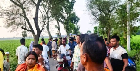 সড়ক দুর্ঘটনায় পাহারলেন এক নারী