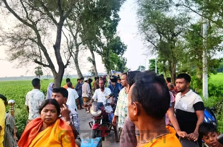 সড়ক দুর্ঘটনায় পাহারলেন এক নারী