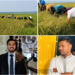 আর্থিক অসুবিধায় থাকা কৃষকের পাশে ছাত্রদল, ধান কেটে ঘরে তুলে দিলেন নেতাকর্মীরা