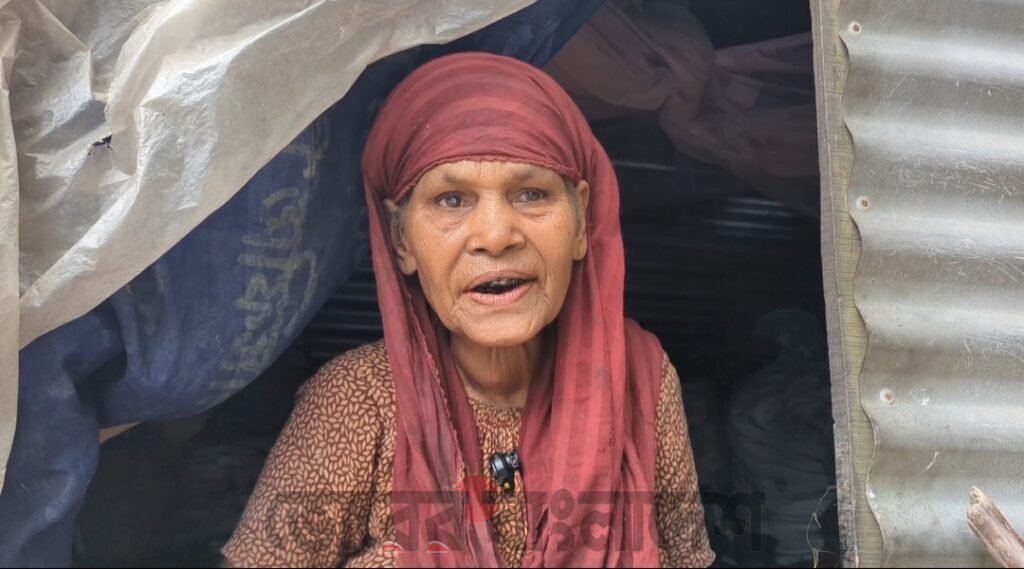গোপালপুরে রাস্তার পাশে অন্ধকার টিনের ঘরে বৃদ্ধা আনোয়ারার মানবেতর জীবন   নেই দরজা, জানালা, টয়লেট ও চিকিৎসার ব্যবস্থা; মানুষের দয়ায় জোটে খাবার