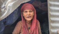 গোপালপুরে রাস্তার পাশে অন্ধকার টিনের ঘরে বৃদ্ধা আনোয়ারার মানবেতর জীবন   নেই দরজা, জানালা, টয়লেট ও চিকিৎসার ব্যবস্থা; মানুষের দয়ায় জোটে খাবার