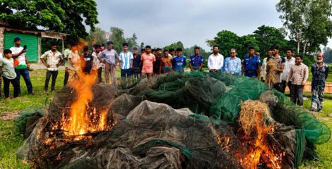 গোপালপুরে  অবৈধ চায়না জাল পুড়িয়ে ধ্বংস
