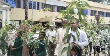ভূঞাপুরে শিক্ষা প্রতিষ্ঠানে ফলজ, বনজ ও ঔষধি গাছের চারা বিতরণ