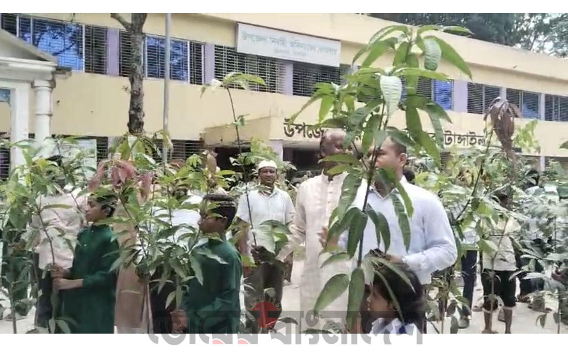 ভূঞাপুরে শিক্ষা প্রতিষ্ঠানে ফলজ, বনজ ও ঔষধি গাছের চারা বিতরণ