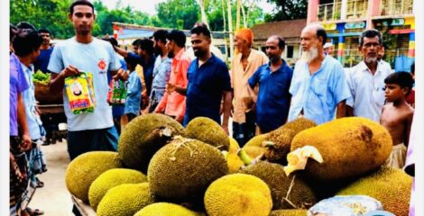 একজনকে দাওয়াত, হাজির ১০০ অতিথি! টাঙ্গাইলে ব্যতিক্রমী আম-কাঁঠালের আপ্যায়ন