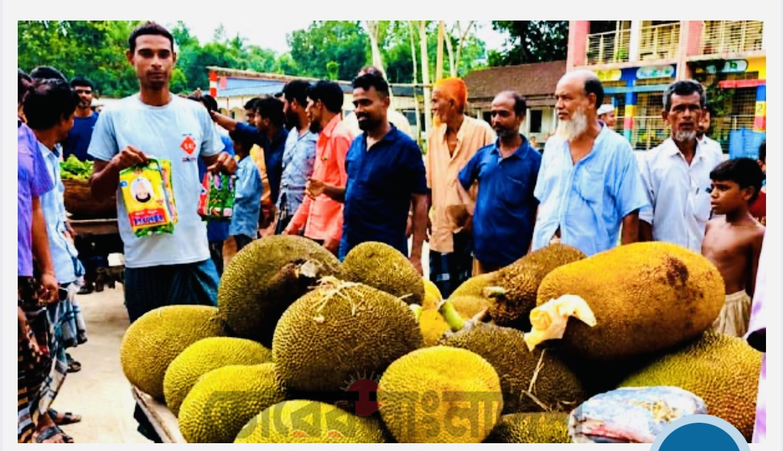 একজনকে দাওয়াত, হাজির ১০০ অতিথি! টাঙ্গাইলে ব্যতিক্রমী আম-কাঁঠালের আপ্যায়ন