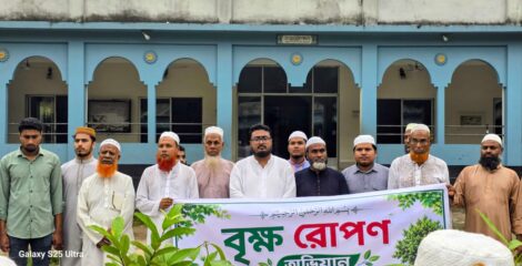 কালিয়াকৈর জামায়াতের বৃক্ষরোপণ ।