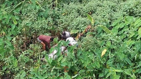 টাঙ্গাইলে পৃথকস্থানে দুইজনের অর্ধগলিত মরদেহ উদ্ধার