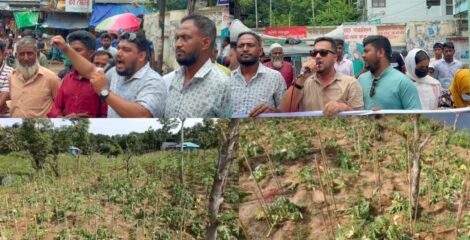 পেঁপে বাগান ধ্বংসের প্রতিবাদে রাঙামাটিতে পিসিসিপির বিক্ষোভ, জড়িতদের গ্রেপ্তারের দাবি