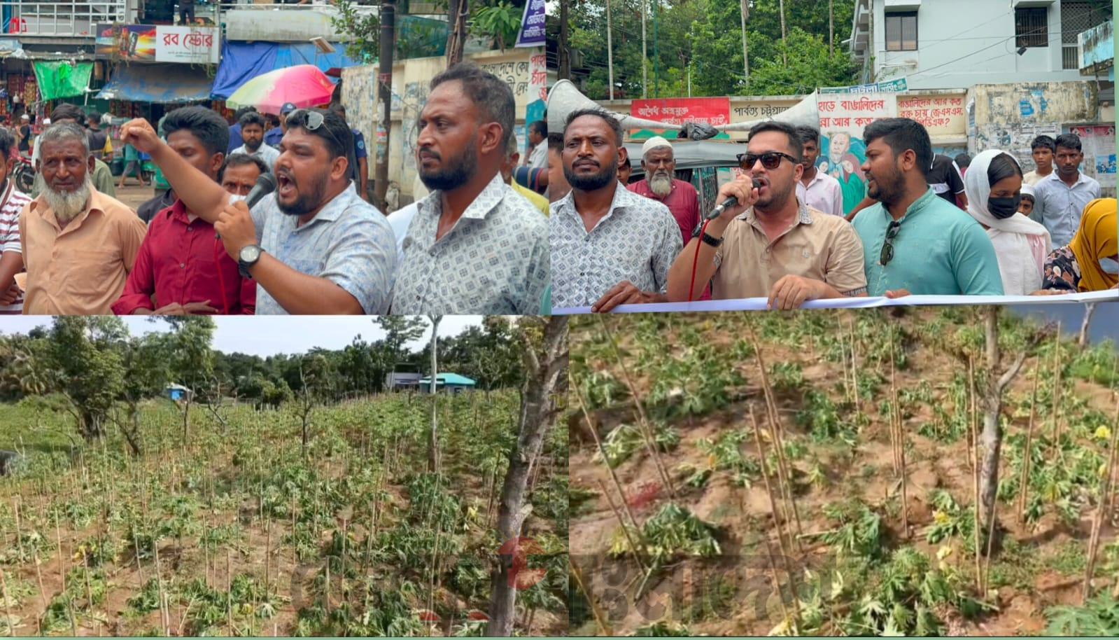 পেঁপে বাগান ধ্বংসের প্রতিবাদে রাঙামাটিতে পিসিসিপির বিক্ষোভ, জড়িতদের গ্রেপ্তারের দাবি